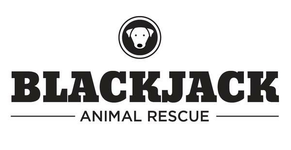 15823162_10208205482236738_934814482490240172_n