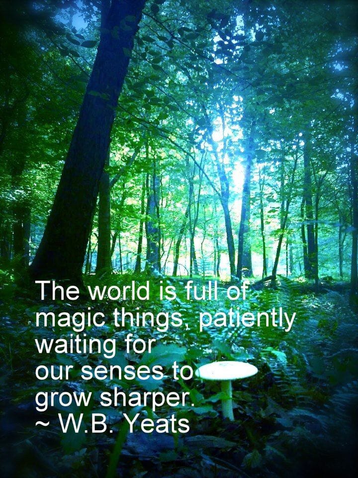 87547960_10216421378109000_1671723596566757376_n